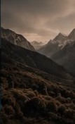 Paysage de montagne